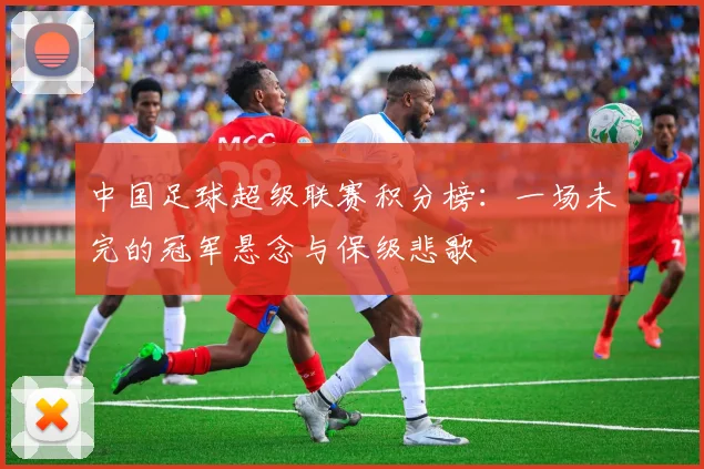 中国足球超级联赛积分榜:一场未完的冠军悬念与保级悲歌