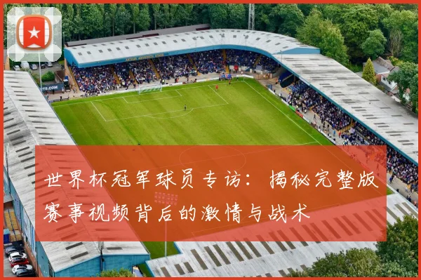 世界杯冠军球员专访：揭秘完整版赛事视频背后的激情与战术